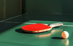 pingpong _amica-100 (1)