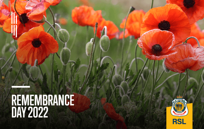 Memorial Day 2022: Poppy Day is Friday before Memorial Day